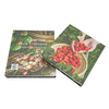 Wholesale Printing book with Professional Printing