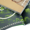 Vibrant Offset Art Printed Paperback Book