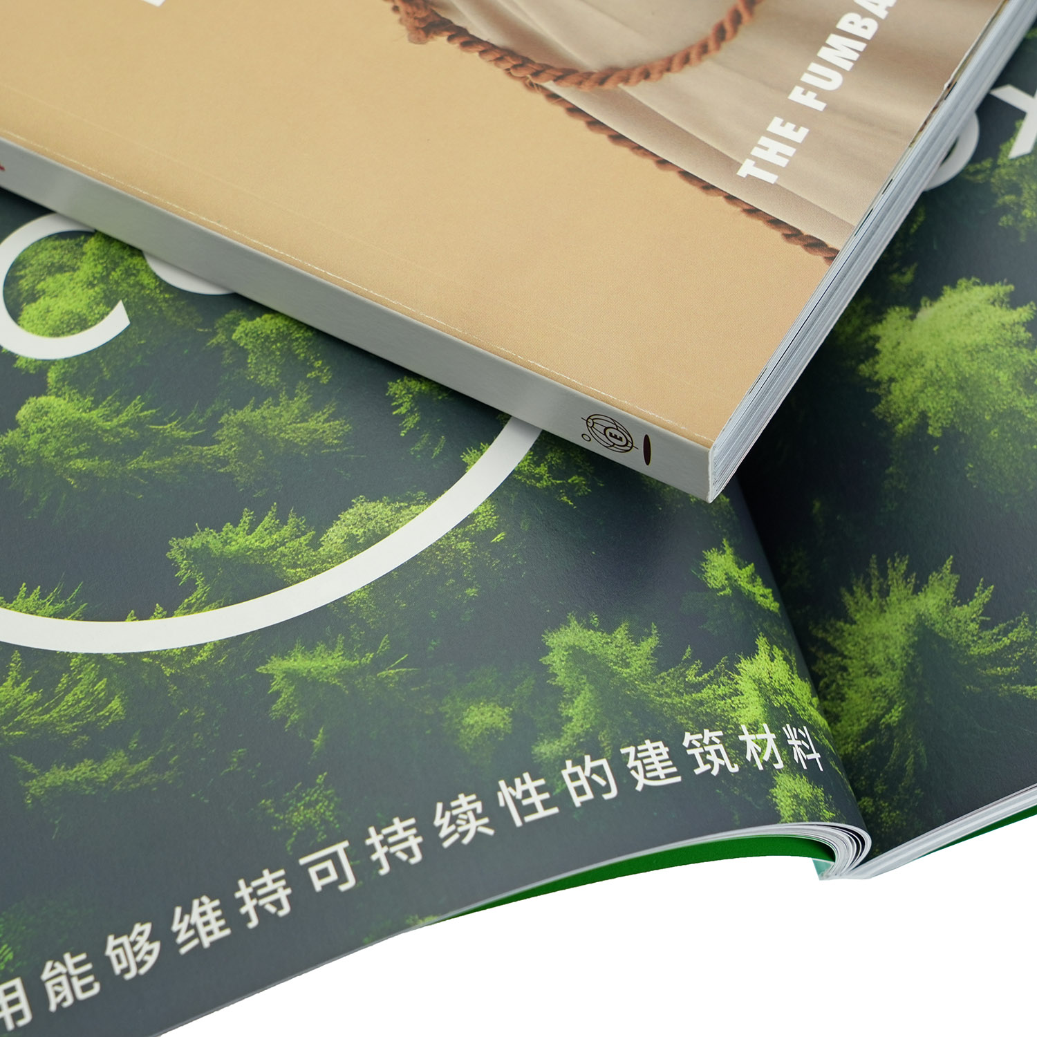 Vibrant Offset Art Printed Paperback Book