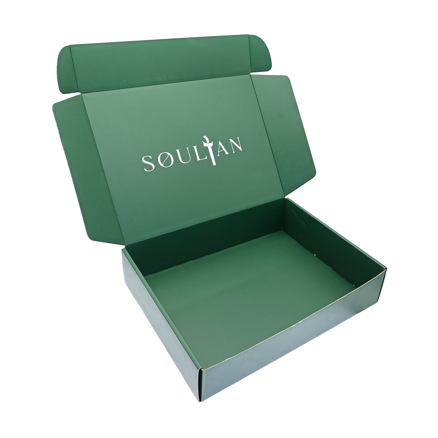 Luxury Cardboard Gift Bags with Elegant Handles