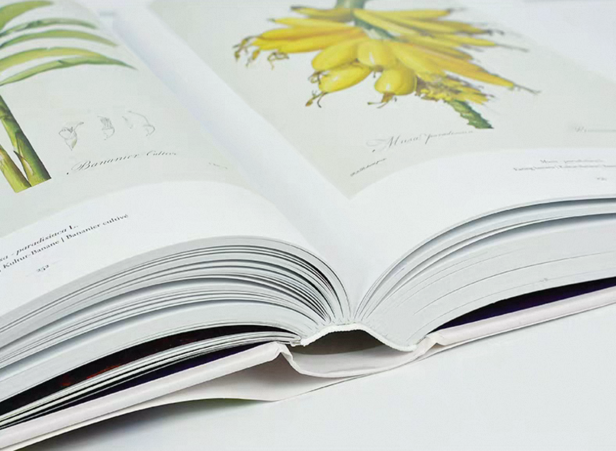 Full-Bleed Floral Botanical Art Hardcover Coffee Table Books with Hot Foil Title Frames