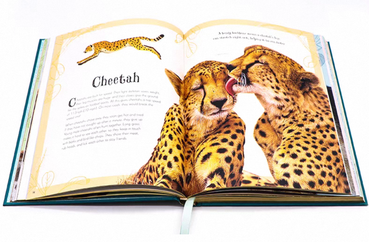 Gilded Edge Hardcover Children’s Animal Encyclopedia Books with Foil Embossed Cloth Covers