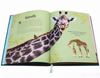 Gilded Edge Hardcover Children’s Animal Encyclopedia Books with Foil Embossed Cloth Covers