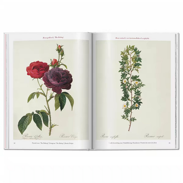 Custom Hardcover Vintage Botanical Floral Illustration Monograph Books