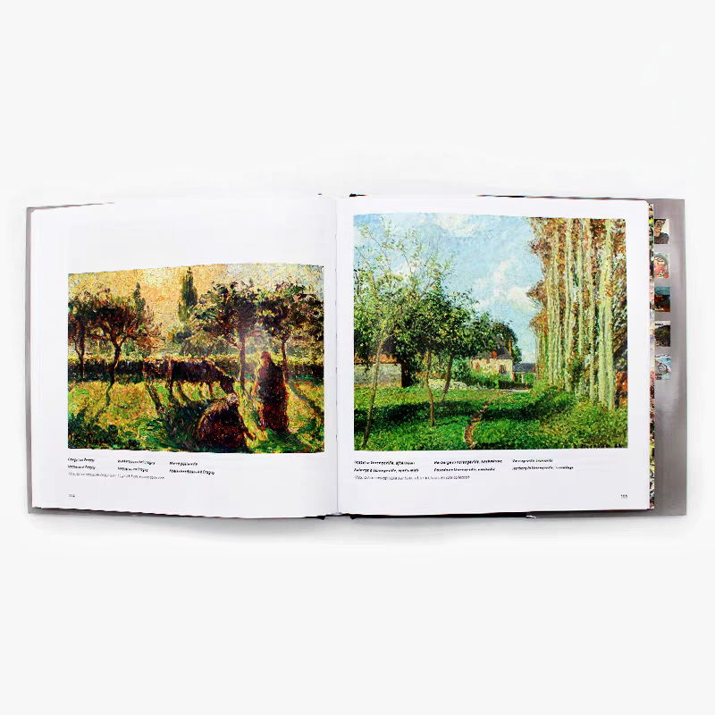 Premium Hardcover Impressionist Artist Art Catalogue & Painting Collection Books