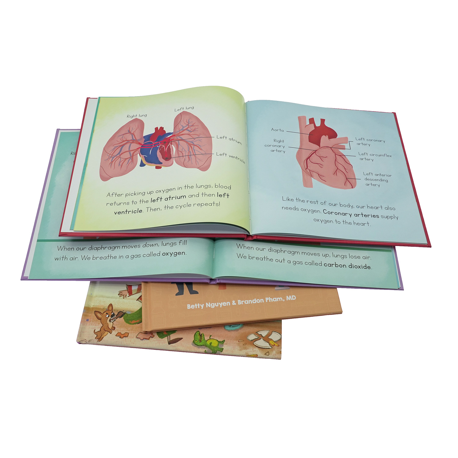 Custom Printed Educational Hardcover Children's Medical Books