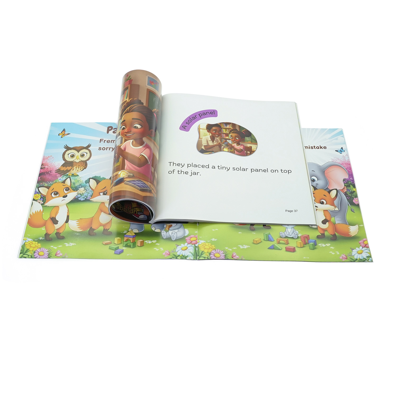 Custom Printed Softcover Children's STEM/Educational Picture Books