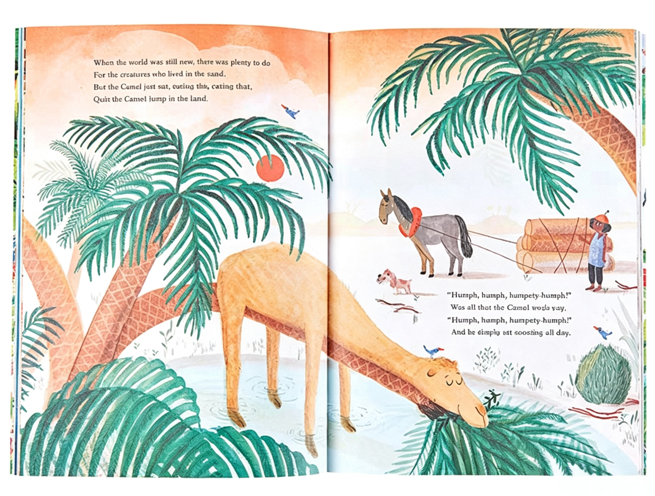 Children’s Picture Story Softcover Books for Early Learning & Fairy Tale Series