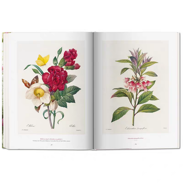 Full-Bleed Floral Botanical Art Hardcover Coffee Table Books with Hot Foil Title Frames
