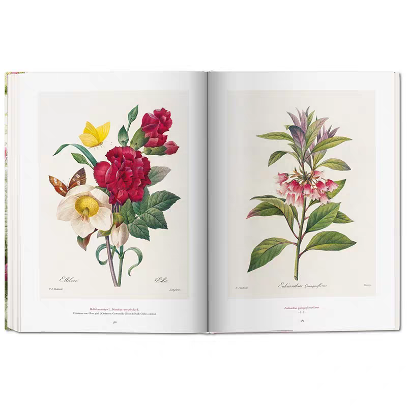 Full-Bleed Floral Botanical Art Hardcover Coffee Table Books with Hot Foil Title Frames