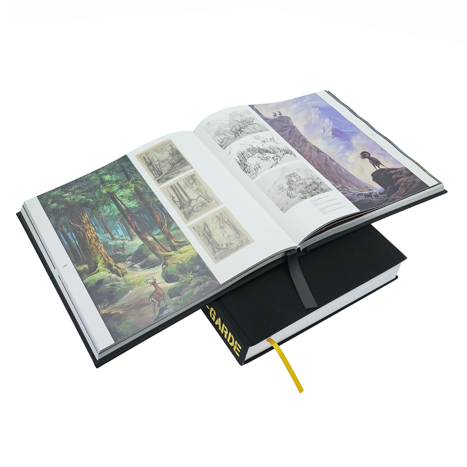 Cloth-Bound Luxury Artist Art Portfolio & Fine Art Sketch Hardcover Books