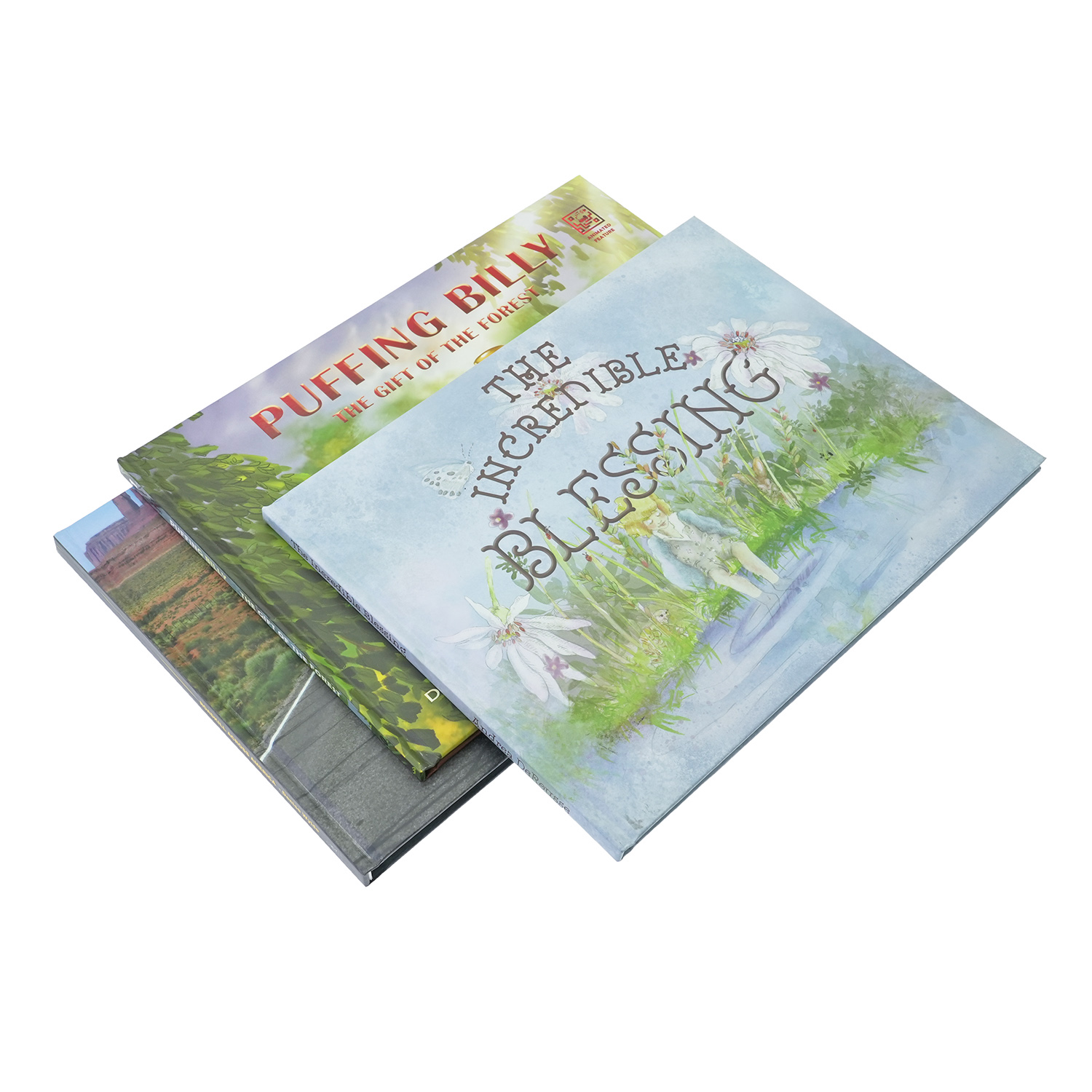 Custom Full-Spread Illustrated Hardcover Children’s Story Picture Books