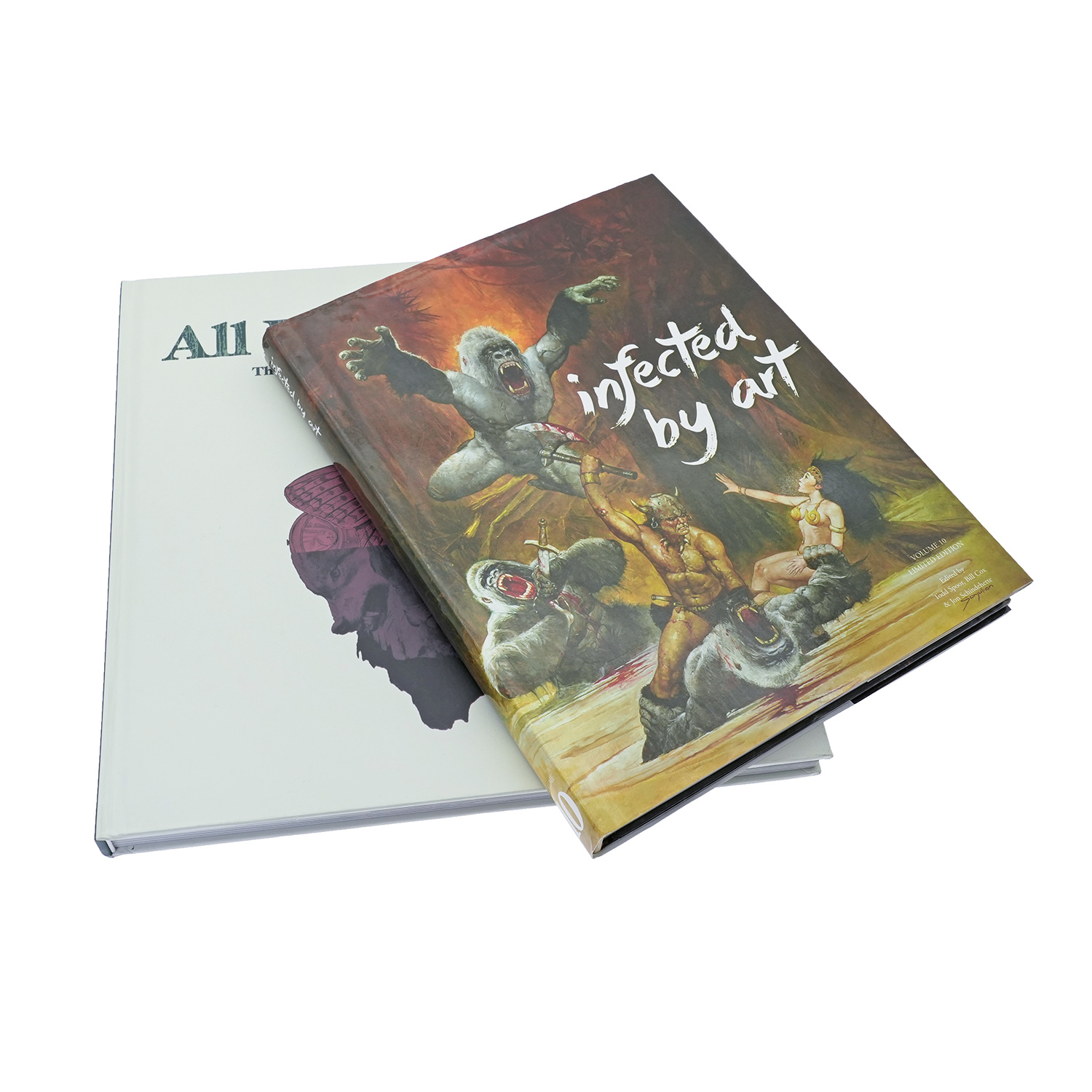 Premium Hardcover Art Books & Collectible Art Volumes