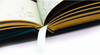 Gilded Edge Hardcover Children’s Animal Encyclopedia Books with Foil Embossed Cloth Covers