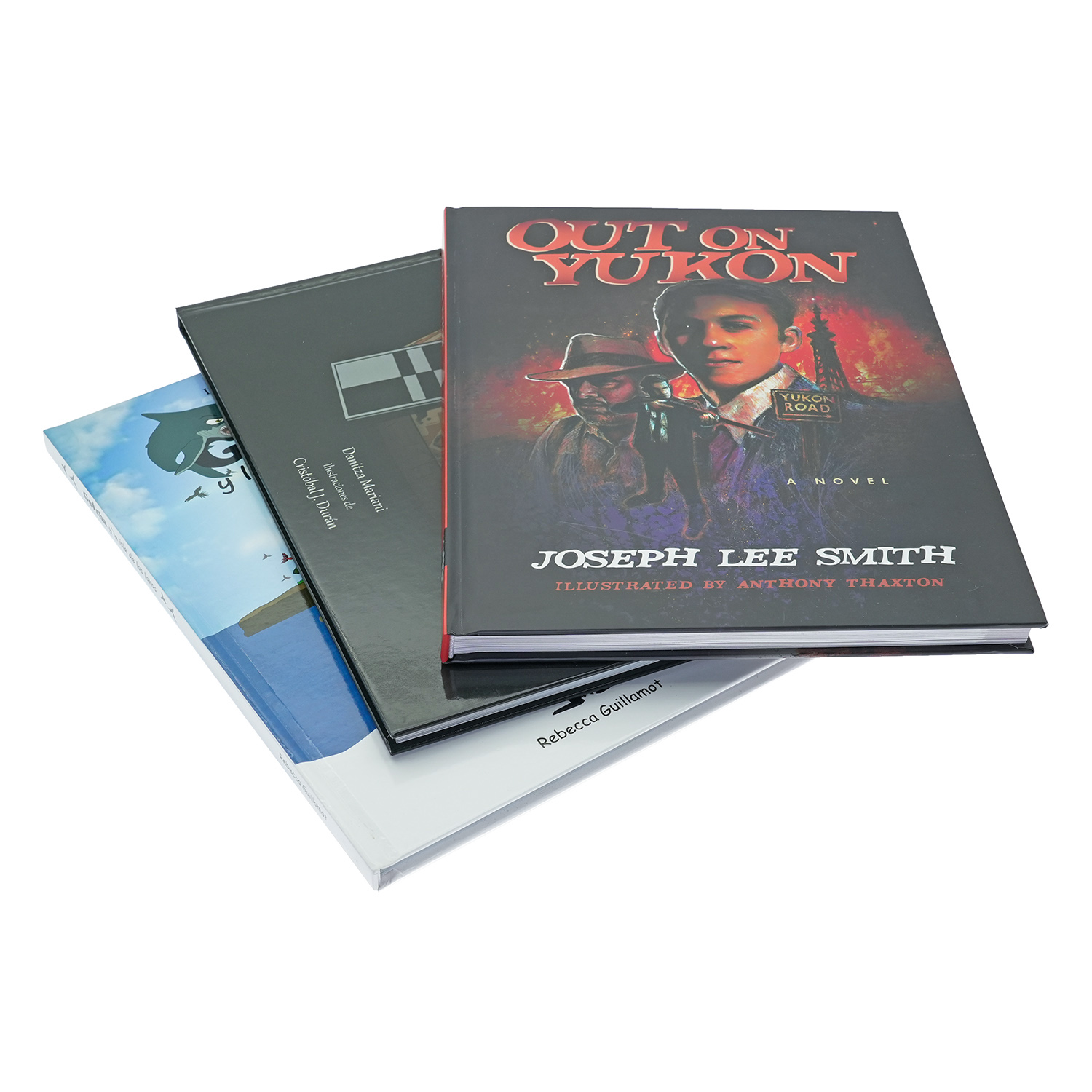 Custom Illustrated Hardcover Fiction Novels & Graphic Literary Books