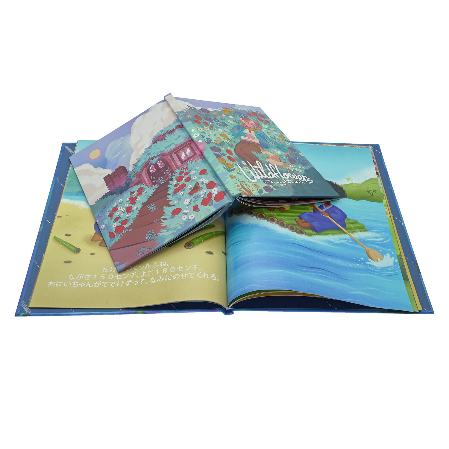 Artistic Picture Books & Independent Zine Printing