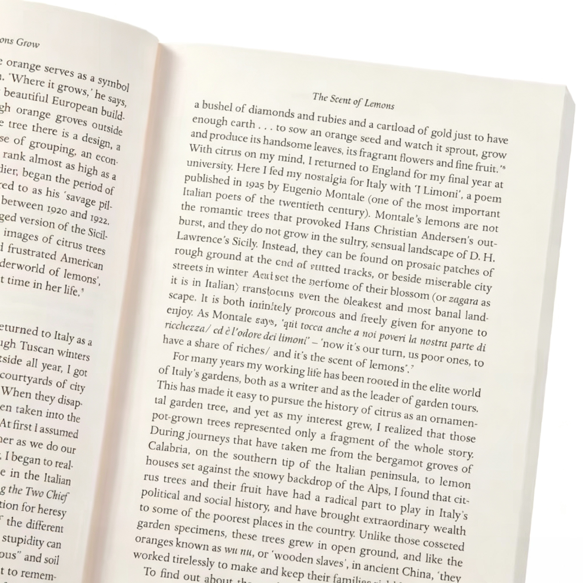 Custom Trade Softcover Literary Food & Cultural Narrative Paperback Books
