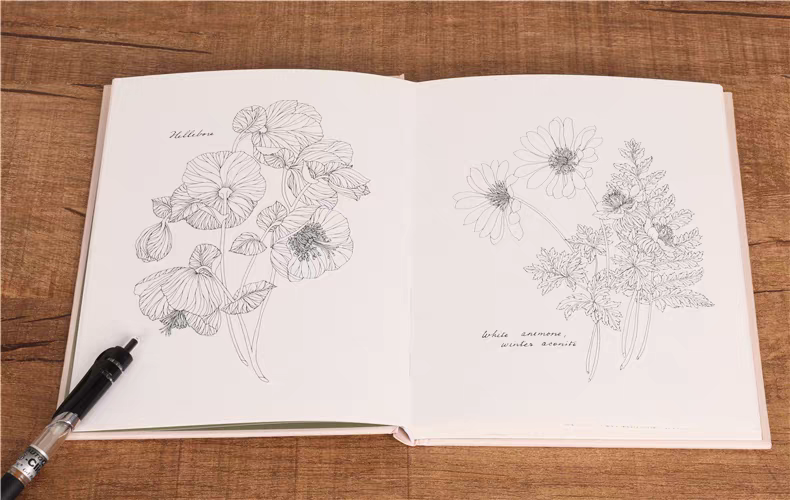 Custom Hardcover Botanical Line Art Coloring & Floral Art Activity Books