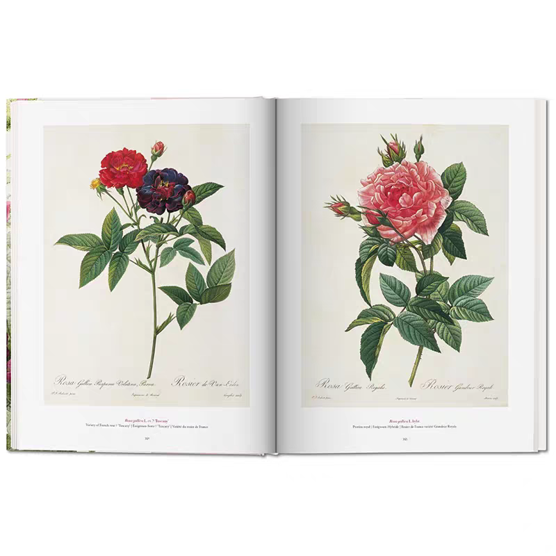 Full-Bleed Floral Botanical Art Hardcover Coffee Table Books with Hot Foil Title Frames