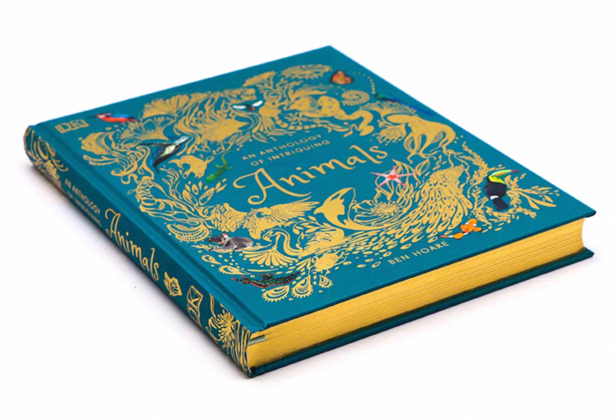 Gilded Edge Hardcover Children’s Animal Encyclopedia Books with Foil Embossed Cloth Covers